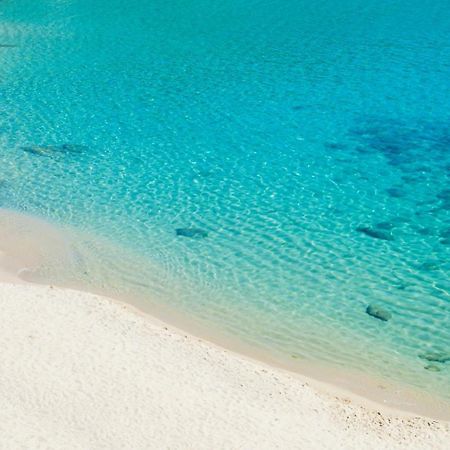 Villasoledad Appartamenti Per Vacanze Capoliveri  Eksteriør billede