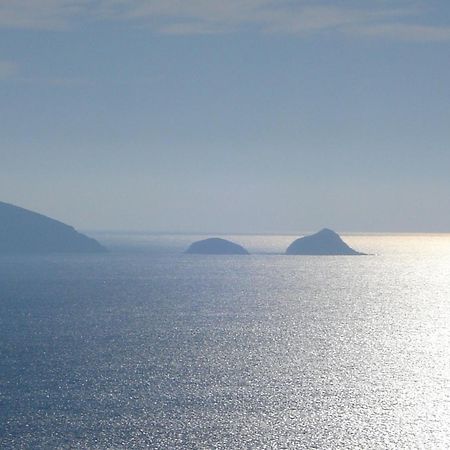 Villasoledad Appartamenti Per Vacanze Capoliveri  Eksteriør billede