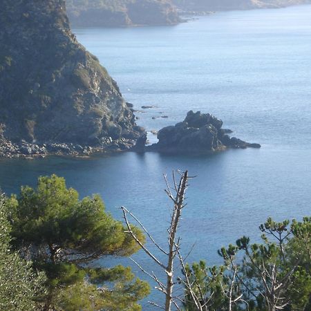 Villasoledad Appartamenti Per Vacanze Capoliveri  Eksteriør billede
